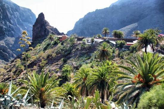 Marody House Vacacional Leilighet Granadilla De Abona Eksteriør bilde